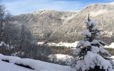 Season Update From The Mountains