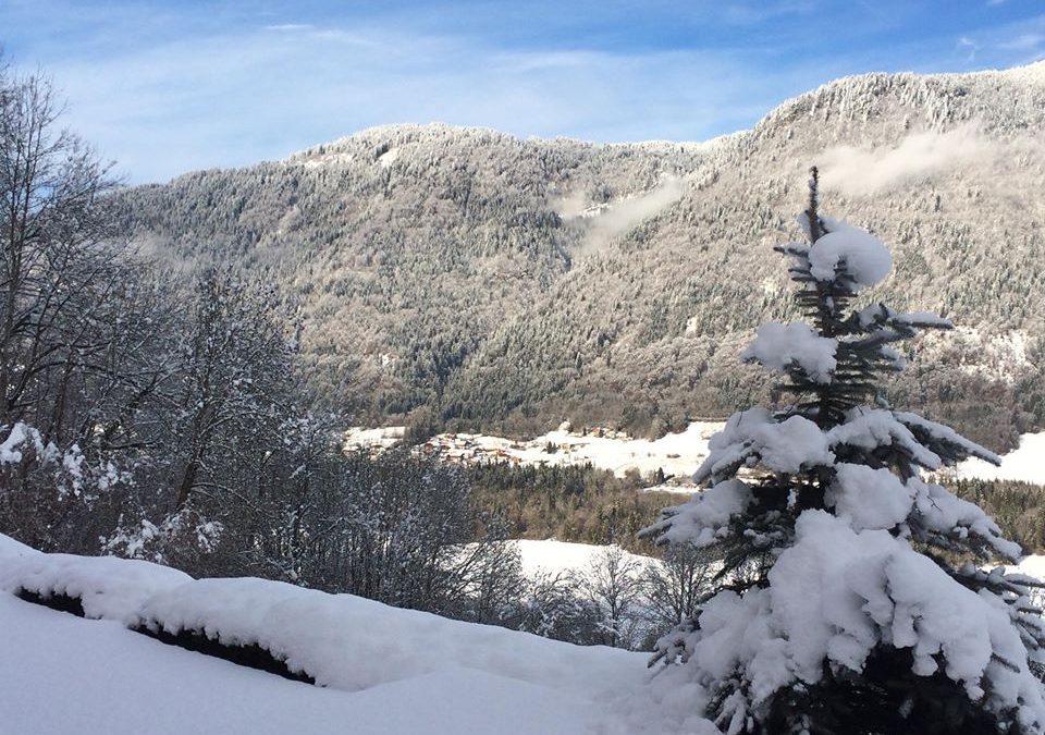 Season Update From The Mountains